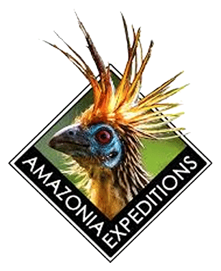 Amazon Expeditions