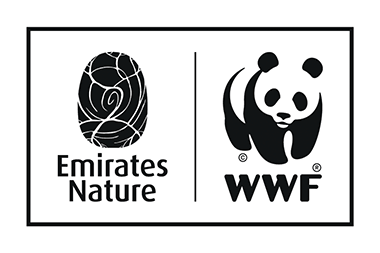 ENWWF
